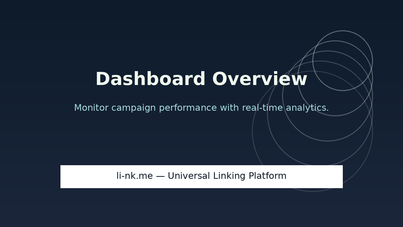 li-nk.me dashboard overview with campaign analytics